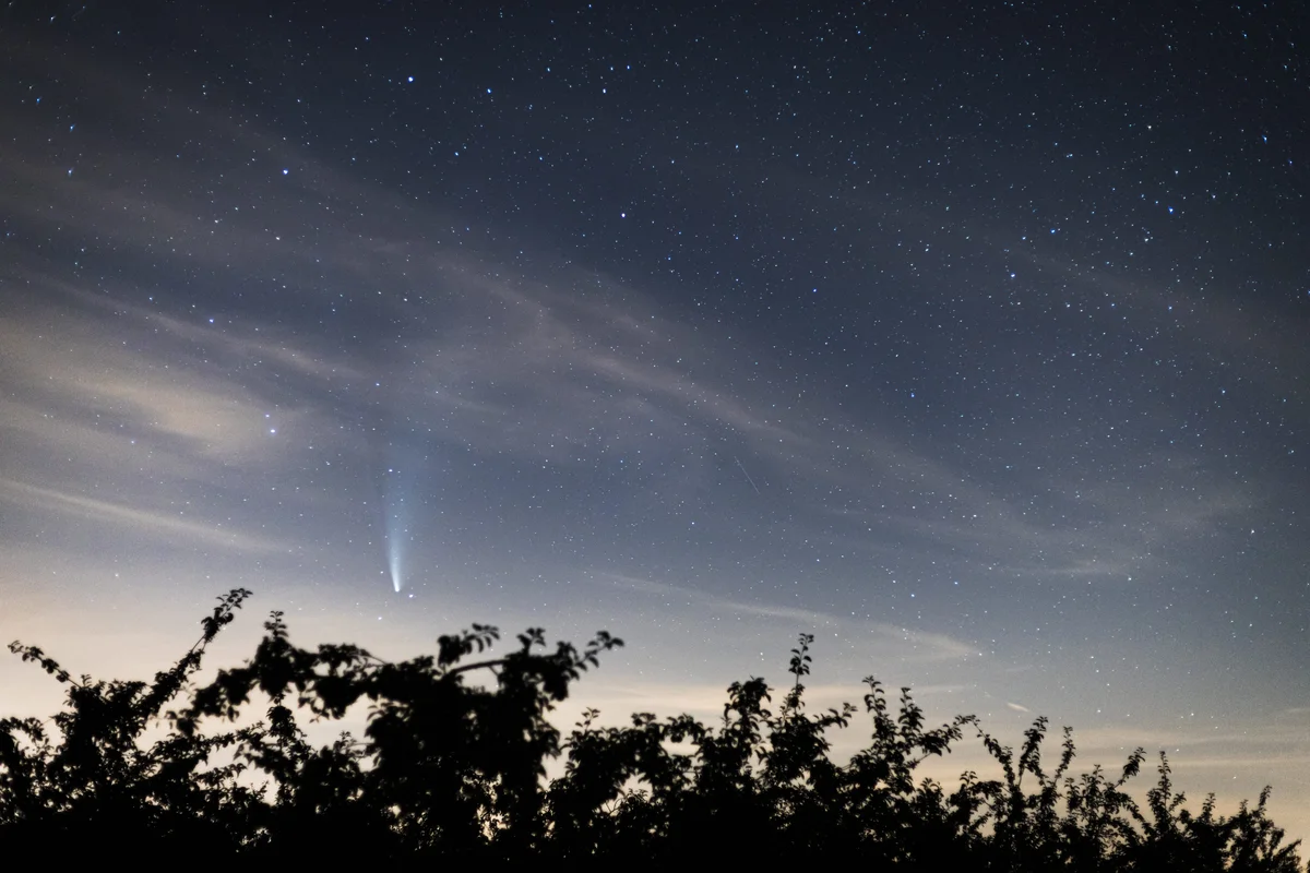 Entre branches et comète